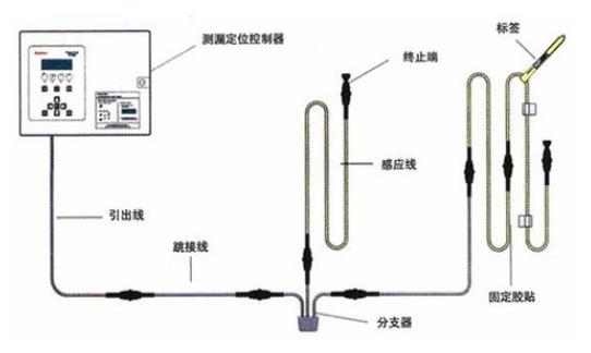 1622422670981145.jpg 2.jpg