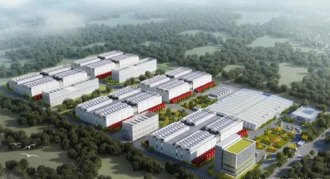 1642205757889282.jpg 4.jpg